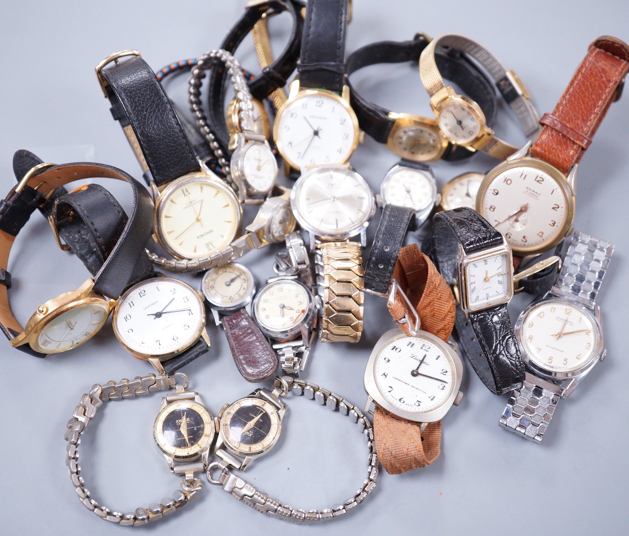 Seven assorted gentleman's wrist watches including steel Ingersoll and steel Technics, Adano and Sekonda and twelve assorted lady's wrist watches including Timex, Editia and a yellow metal Winegartens.